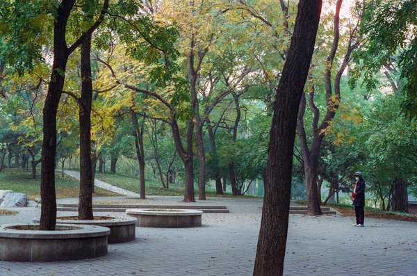 Unlocking the power of light: a comprehensive guide to overcoming seasonal affective disorder